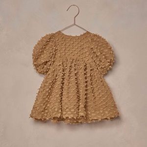NWT Noralee Luna Dress - Golden - 2T